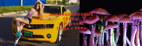 a pvp Алзамай
