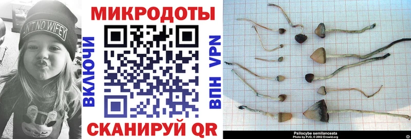 как найти закладки ссылка на мегу сайт Галлюциногенные грибы Cubensis Нестеров